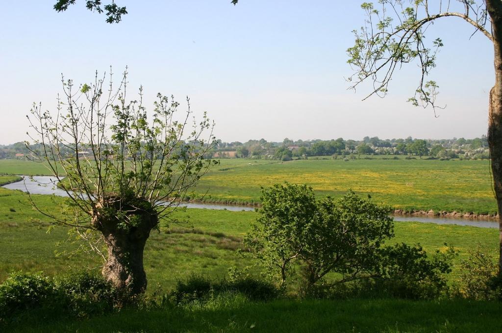 Gite Marguerite Les Moitiers-en-Bauptois Buitenkant foto